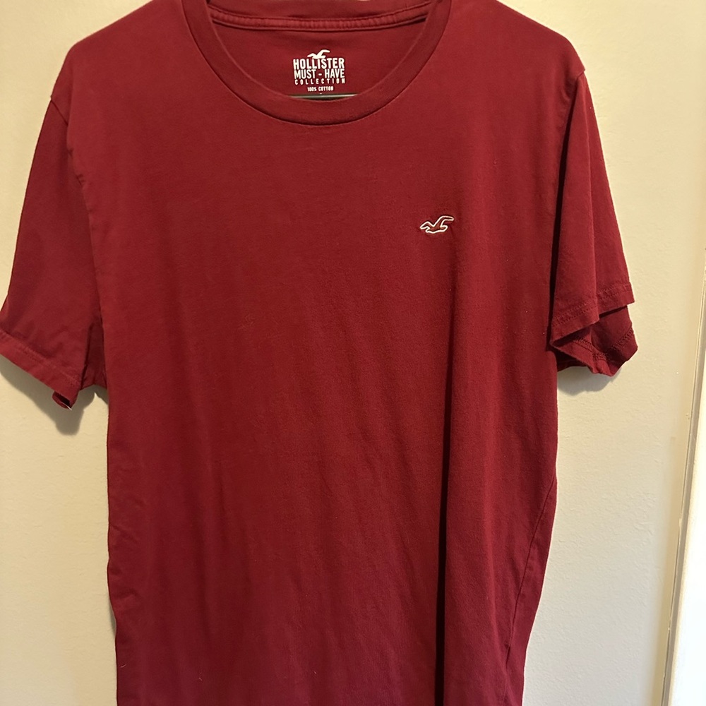Hollister Men's T-Shirt LG